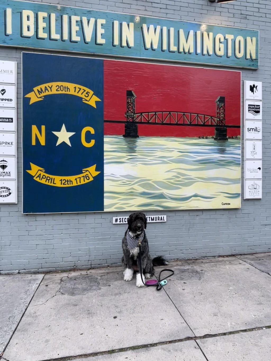 Wilmington & Wrightsville Beach – a dog friendly getaway to coastal North&nbsp;Carolina