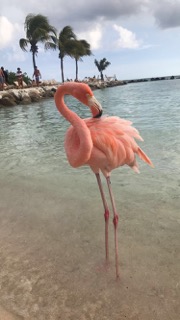 Aruba / One Happy&nbsp;Island